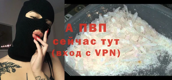 сатива Богородицк