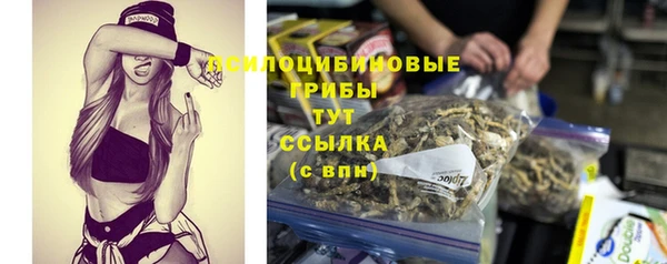 a pvp Коряжма