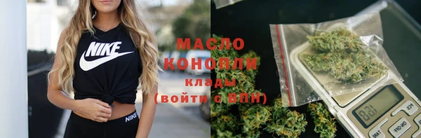 крисы Козельск
