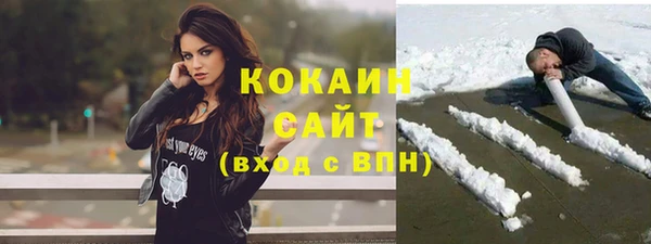 крисы Козельск