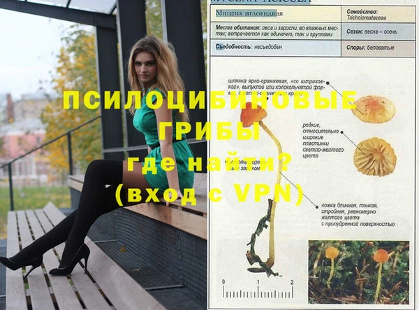 синтетический гашиш Корсаков