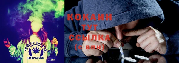 крисы Козельск